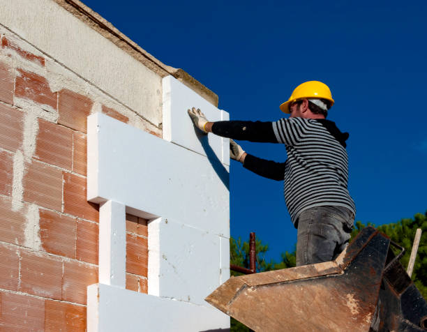 Best Professional Insulation Contractor  in St Charles, MN