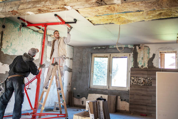 Best Soundproof Insulation Installation  in St Charles, MN