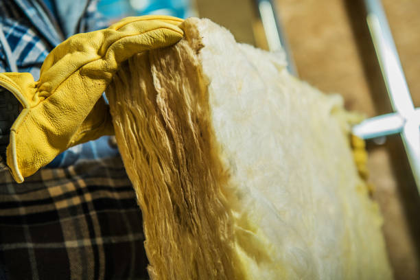 Best Insulation Contractor Near Me  in St Charles, MN