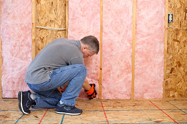 Best Insulation Removal  in St Charles, MN